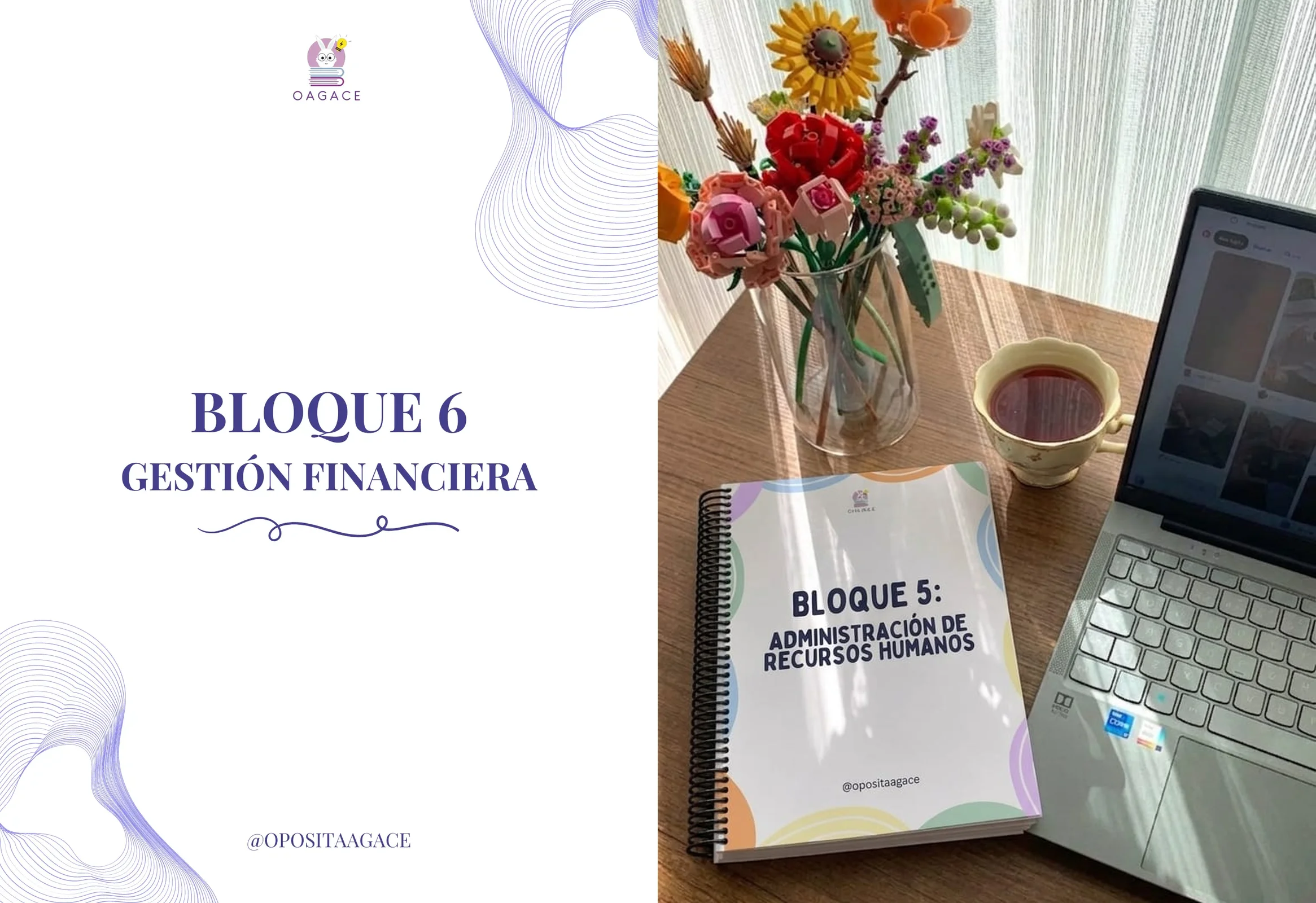 Pack Gestión Financiera + Bloque 5 RRHH