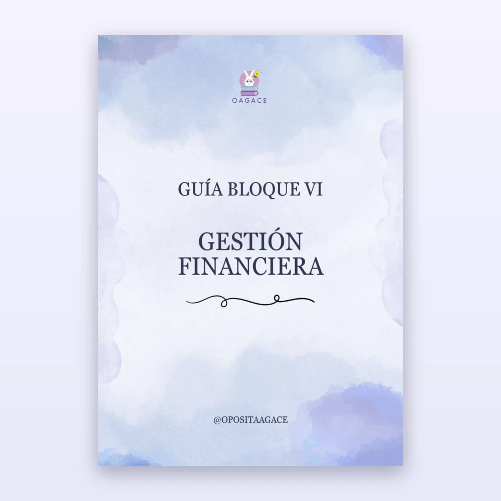 Guía de Gestión Financiera (111 páginas) + (38 páginas ejercicios)